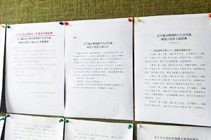 公司做好遼寧省出席黨的十九大代表候選人初步人選公示工作 公司做好遼寧省出席黨的十九大代表候選人初步人選公示工作